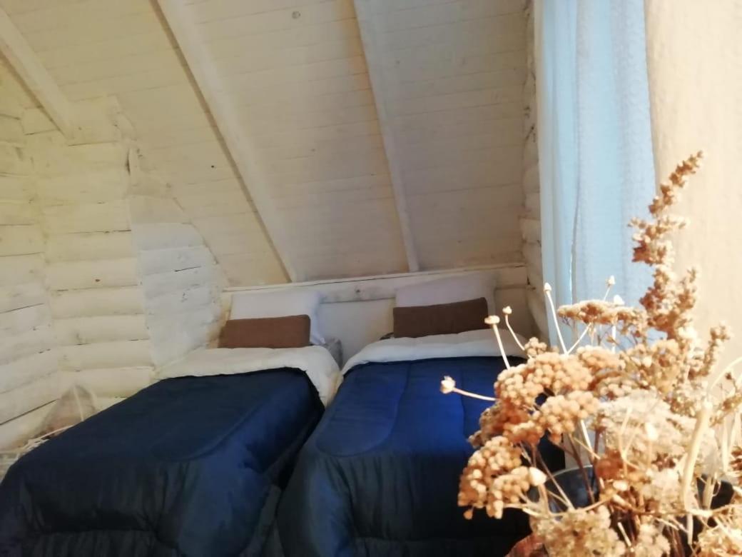 Cabana Azul Trevelín Ngoại thất bức ảnh
